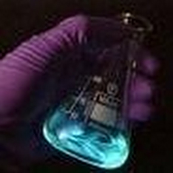 Meet your Posher, Mareshia - Picture 1 of 1